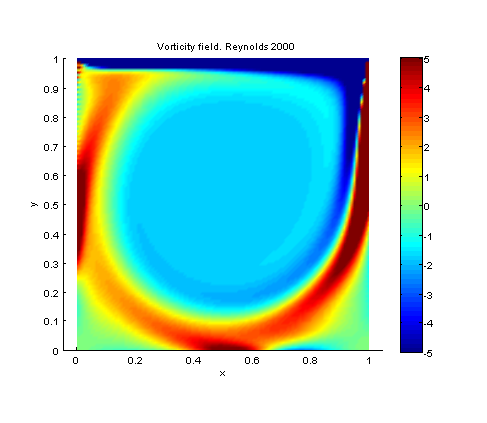 Vorticity field